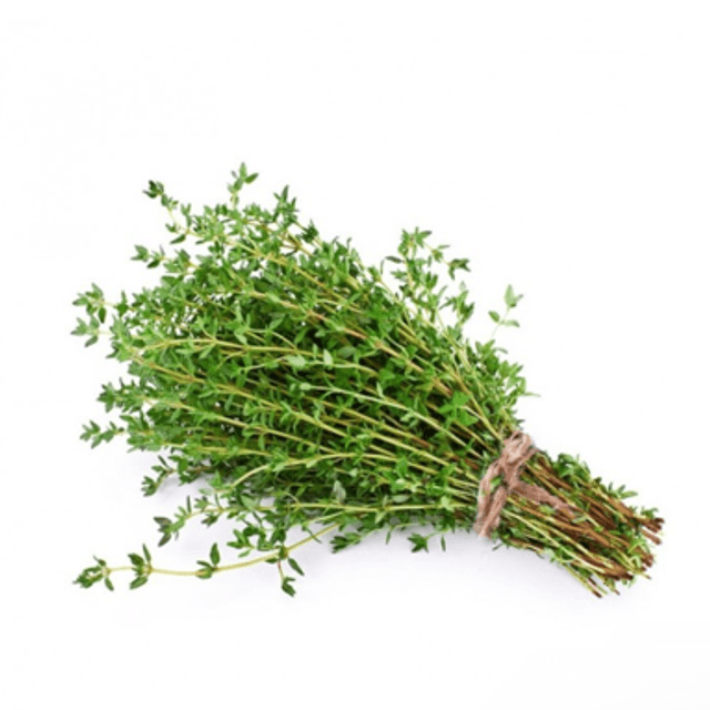 Thym botte 